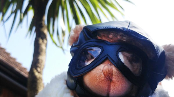It's tough being a bear in this #heatwave but not as tough as it is for members of the RAF Family facing every day alone and isolated. Support veterans by volunteering with the RAF Association - rafa.org.uk/bertie/
#veterans #loneliness #royalairforces #friendship #ukheatwave