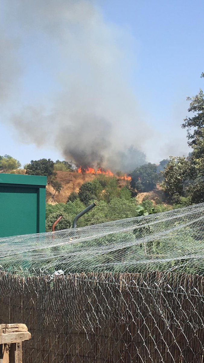 Walter_White72's tweet photo. Incendio entre el Golf y Molino de la Hoz. Es importantísimo el desbroce. #LasRozas @Ayto_Las_Rozas @AmmerLasrozas https://t.co/rDEueWYNRU