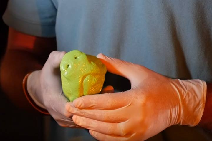 Vet_Summit's tweet photo. https://t.co/z66CK5Z1eg
Animal stem cells used to create an 'e-nose' for detecting explosives, drugs and other contraband #EmergencyAnimaltreatments #MobileVeterinaryClinic #PreventivePetHealthcare #VeterinaryPhysiotherapy #AnimalEcology #AnimalPhysiology #Animalcytology https://t.co/S5NE6OFSwV