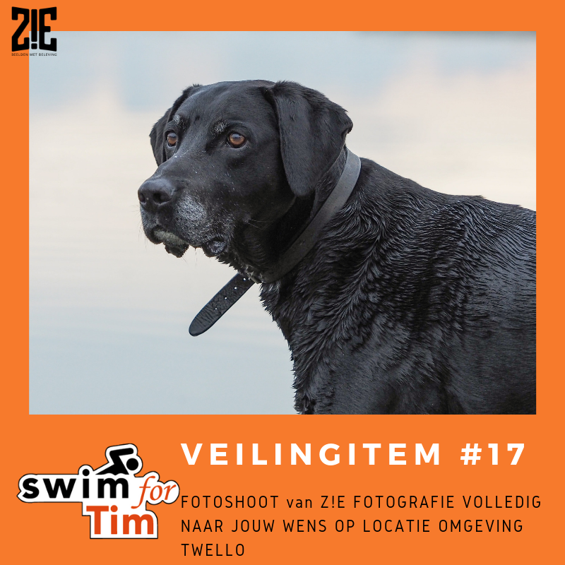 Swim4Tim tweet media
