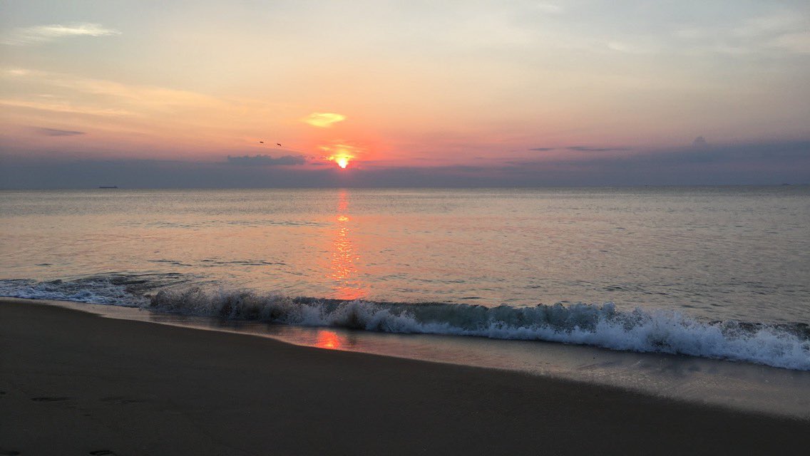 Robin Latchford tweet media