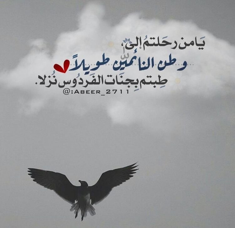 الحنين للموتى موت آخر !.. 
تتقاسمهُ مع تفاصيلهم المُتبقية !..
اللهُم‌ إفتح للموتى نافذه من‌ نسائم‌ فردوسك لاتغلق أبداً.
#ساعه_استجابة