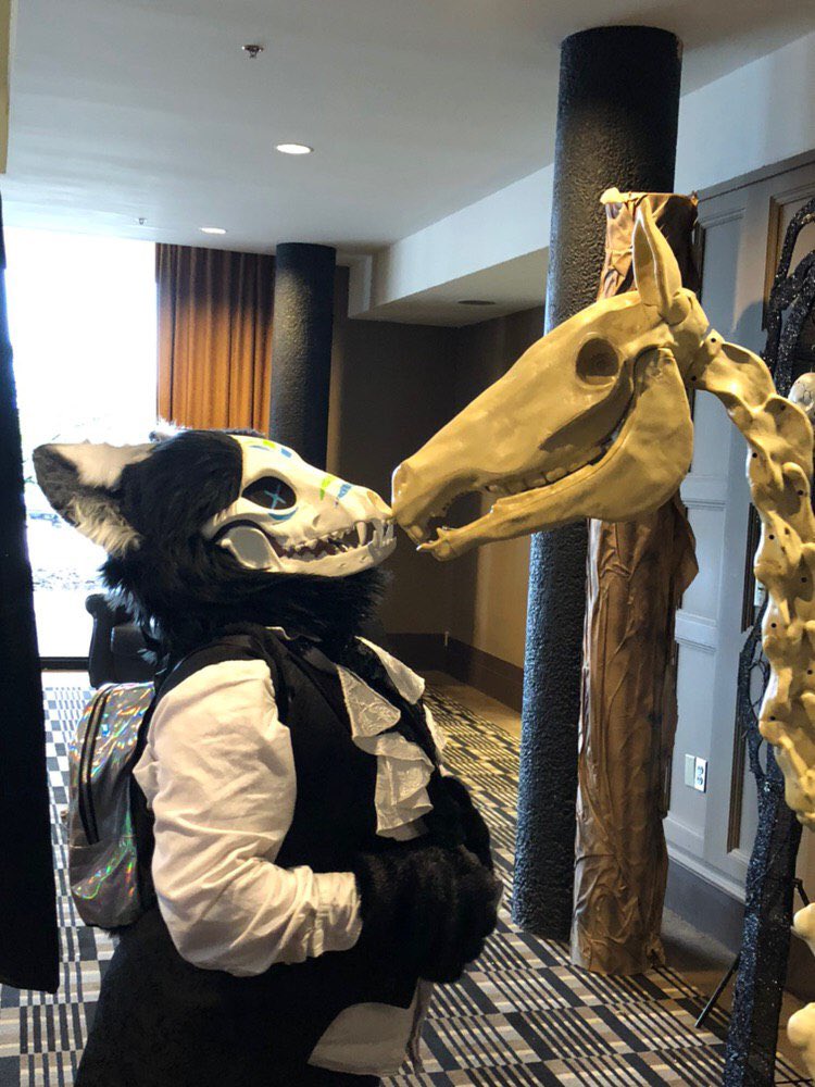AlexIsNotHere00's tweet photo. I made a lovely friend while at FurEh 2019 #furry #furryfandom #fureh #fureh2019 #fursuit #fursuiting #fursuitfriday #skullsuit #skulldogfursuit https://t.co/vkJIMv1fBI