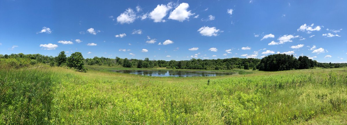 UAkron Foundation tweet media