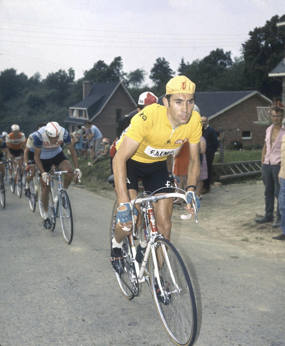 eddy merckx yellow jersey