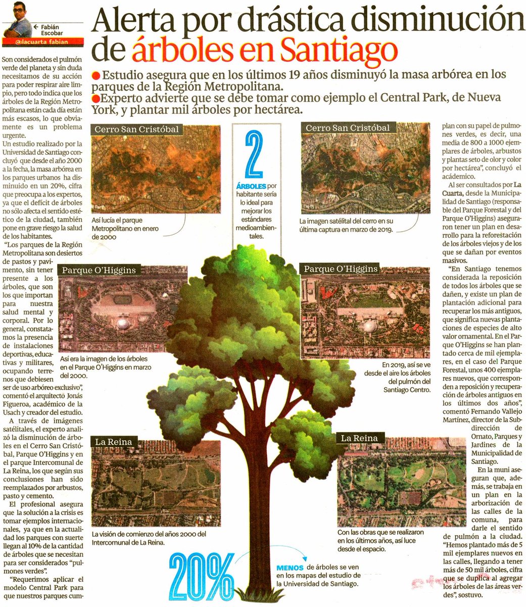 #DíaMundialDelÁrbol: Estudio <a href="/usach/">Universidad de Santiago de Chile</a> alerta por drástica disminución de árboles en #Santiago. Desde 2000, masa arbórea en parques urbanos capitalinos ha caído en 20%, lo cual afecta la #salud de las personas y la estética de la ciudad. #InvestigaciónUSACH tinyurl.com/y3lrzkd3