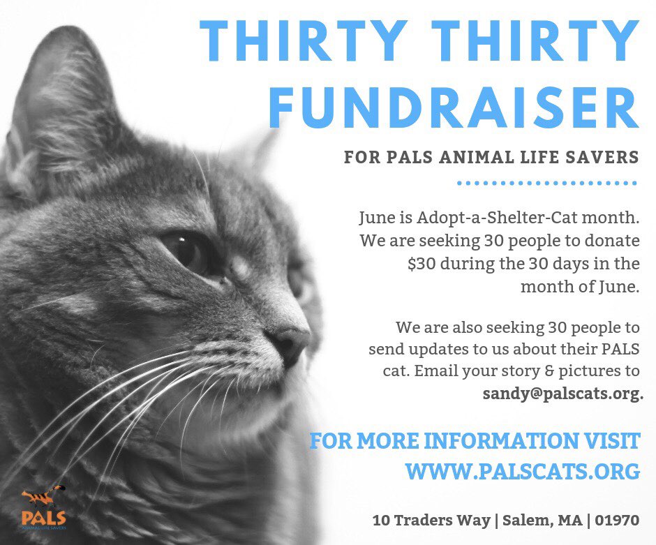 PalsCats's tweet photo. We only have THREE days left to meet our goal! Please consider donating so we can continue to help cats and kittens in need. https://t.co/GkQaythEk3 #PALSCats #AdoptDontShop #Fundraiser #SalemMA #Meow https://t.co/D9GJgfauR7