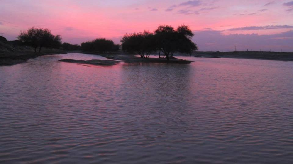 #صوره_من_تصويري