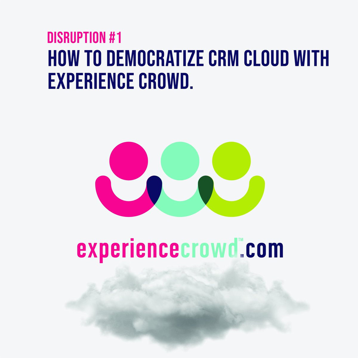 Experience Crowd tweet media