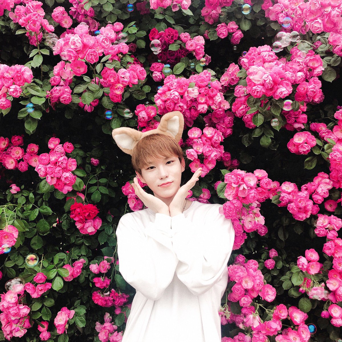 BNM_BRANDNEWZ's tweet photo. [브랜뉴뮤직 신인개발본부]
💌
현재 저는 국프님들의 사랑이 가득한 곳에 와있습니다❤

#홍성준 #HONGSEONGJUN #김시훈 #윤정환 #이은상 #브랜뉴뮤직 #BRANDNEWMUSIC #프로듀스X101 #Produce_X_101
#국민프로듀서님들의 #사랑이있어 #따뜻했습니다 https://t.co/Xmy7GtOrhE