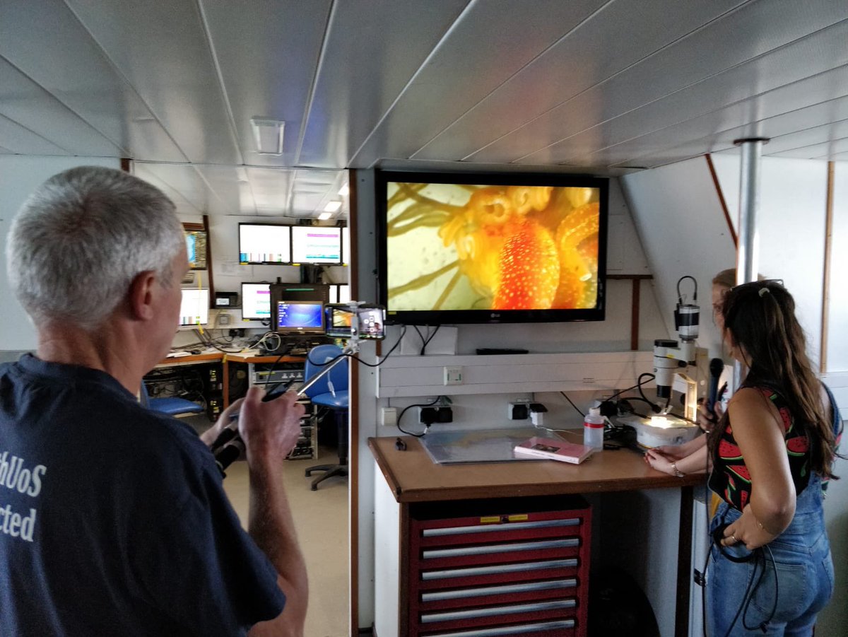 Thanks to all those that took part in our #live #oceans #PlymouthREX link to UK schools today and especially <a href="/cobbers_ocean/">Amber Cobley</a> &amp; <a href="/RV_Callista/">Callista</a> for organising it! It’s now archived @ youtu.be/yc5yBYGyAlw -pretty happy w LIVE/single take/fullHD/3 moves/46min show on zero budget!