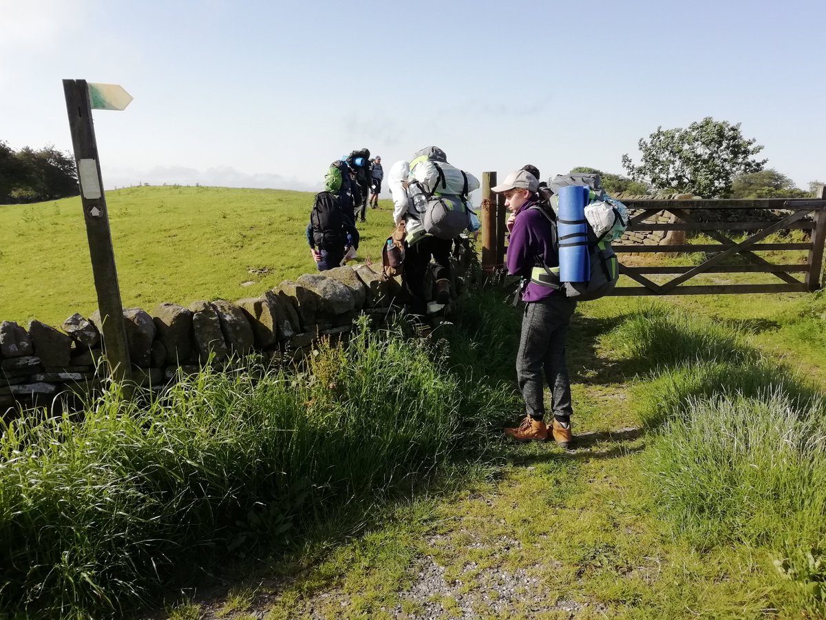 STMCAdofe tweet media