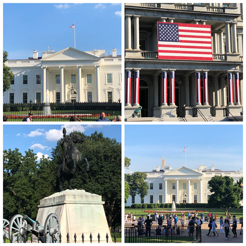 ksrinc's tweet photo. After learning new tools and tactics @bootcampdigital class, Dana Marion had the chance to do some sightseeing while in Washington, DC. #bootcampdigital #WashingtonDC https://t.co/rCMAUEBsYj