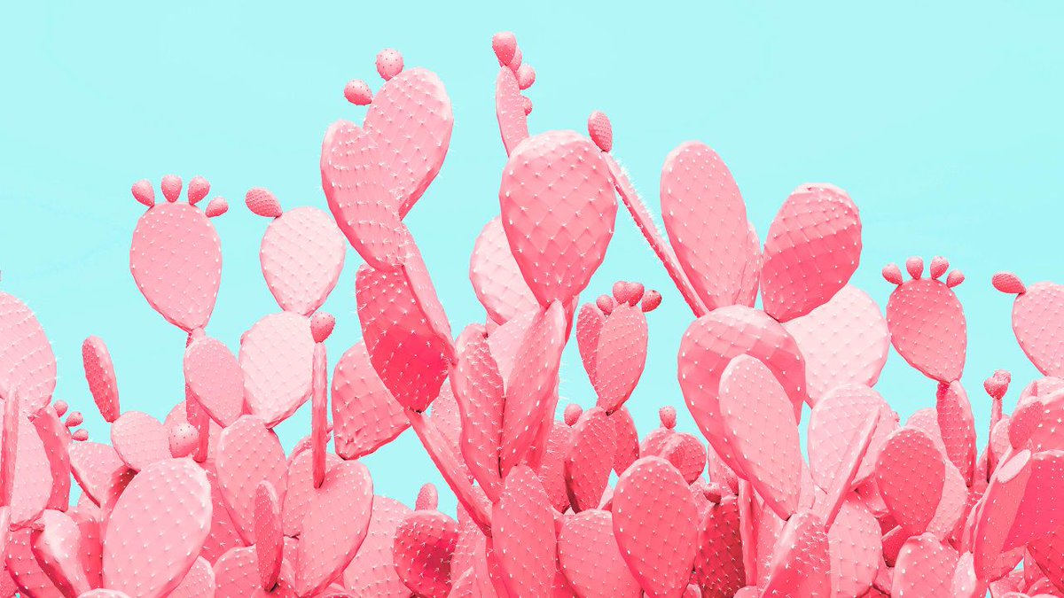VINE_io's tweet image. We use cactus to cook nopales and eat delicious prickly pears/tunas, but now they have a new use for humans: biodegradable plastic. Find out more about how cactus plastic can reduce waste, carbon emissions, and land use! #FridayFoodFact #FunFoodFact buff.ly/2KtgEYA