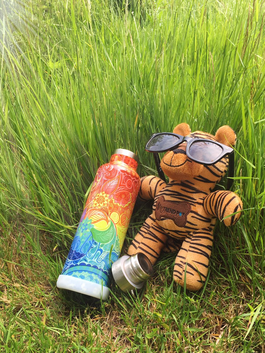 Our fruit infused water recipes are so refreshing and delicious everyone is trying them - even him! ☀️🍓🥝