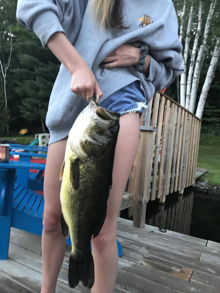 BtsArmyBuzz's tweet photo. #fish #fishing Bass Eastern Ontario https://t.co/fBZktVcAWs
