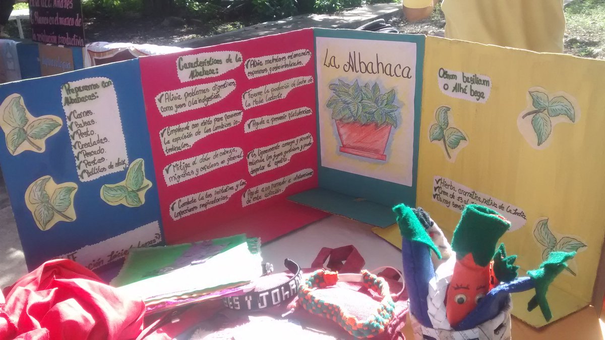 VIII Muestra Regional Municipalizada del PTMS. Municipio Lamas dice presente. En la UENB Betty García. #AraguaTierraDeConucos @psuvaristobulo <a href="/RMarcoTorres/">Rodolfo Marco Torres</a> <a href="/leoalvacabrera/">Prof. Leonardo Alvarado</a> <a href="/CRIFPMA/">CRIFPMA</a> @josevsierra <a href="/cen_araguaney/">araguaney</a> @ZE_Aragua <a href="/PTMSNACIONAL/">Programa Todas las Manos a la Siembra</a>