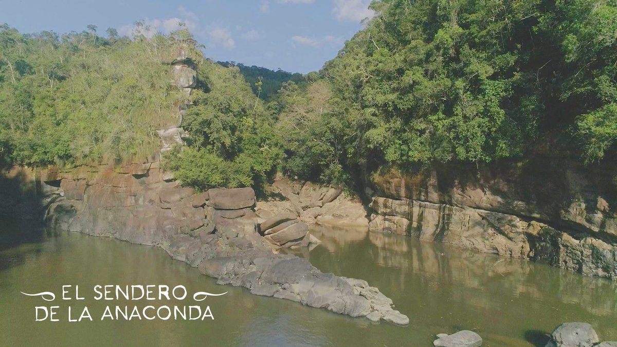 CaracolCine's tweet photo. "Hay una Colombia posible, una Colombia que de pronto no conocemos bien, una Colombia que es maravillosa, que es un paraíso" #AlessandroAngulo Director de #ElSenderoDeLaAnaconda
👉Entrevista Completa https://t.co/AIGfMlU9Sr
SOLO EN CINES https://t.co/lG4Qif1uby