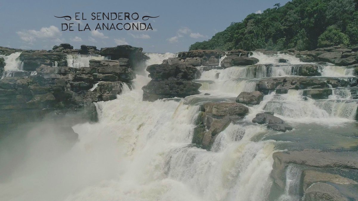 CaracolCine's tweet photo. "Hay una Colombia posible, una Colombia que de pronto no conocemos bien, una Colombia que es maravillosa, que es un paraíso" #AlessandroAngulo Director de #ElSenderoDeLaAnaconda
👉Entrevista Completa https://t.co/AIGfMlU9Sr
SOLO EN CINES https://t.co/lG4Qif1uby