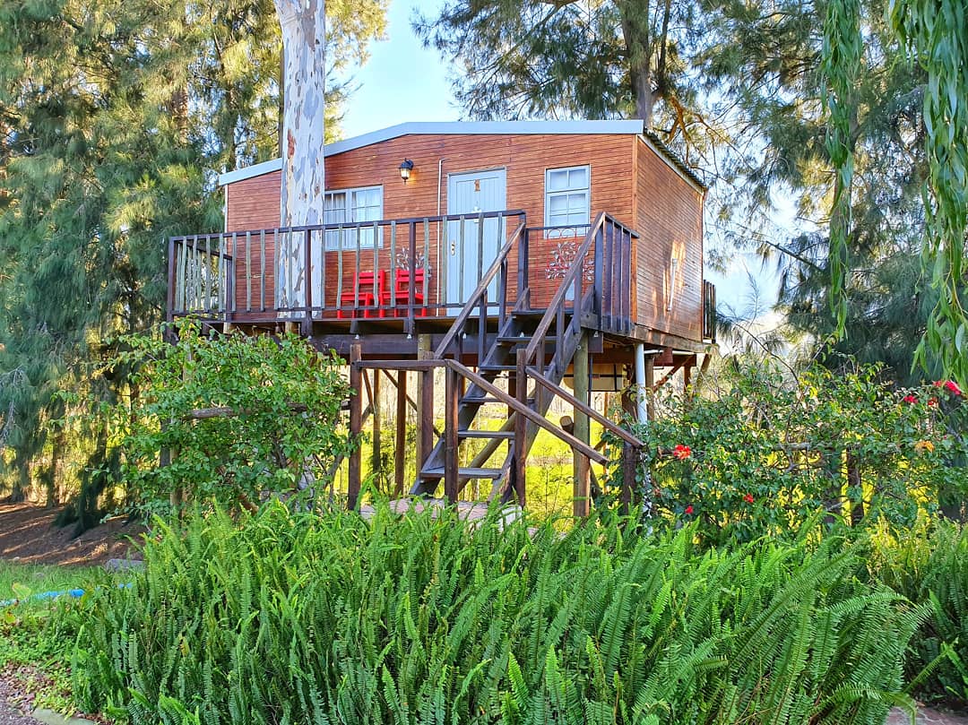 millerinthecity's tweet photo. Our stay at @VindouxFarm was a tranquil and peaceful experience. Check out my latest blog post for a full review on this beautiful guest farm and their unique luxury treehouse accommodation.
#treehouse #vindoux #wintergetaway #tulbagh https://t.co/pKLbjyeo9c