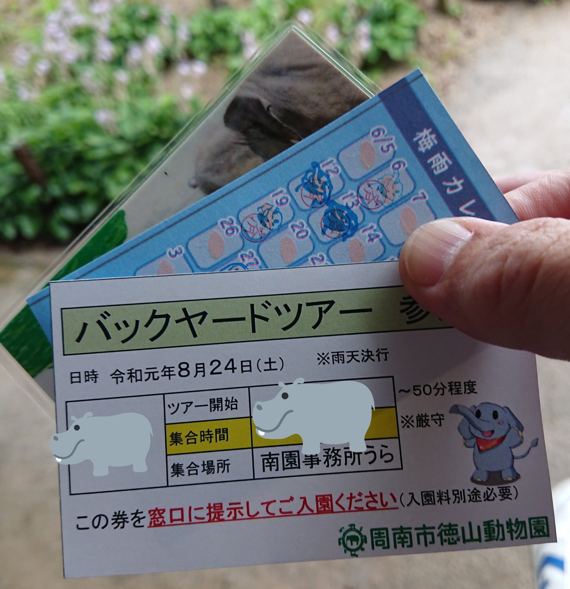 動物園初心者 周南市徳山動物園 ついにgetした 去年はマルちゃんのポストカードに交換したけど これは宝物 今年はバックヤードツアーだぁー O O たのしみぃー W 周南市 徳山動物園 梅雨キャンペーン バックヤードツアー T Co 動物園初心者 周南市徳山動物園 ついにgetした 去年はマルちゃんのポストカードに交換したけど これは宝物 今年はバックヤードツアーだぁー O O たのしみぃー W 周南市 徳山動物園 梅雨キャンペーン バックヤードツアー T Co