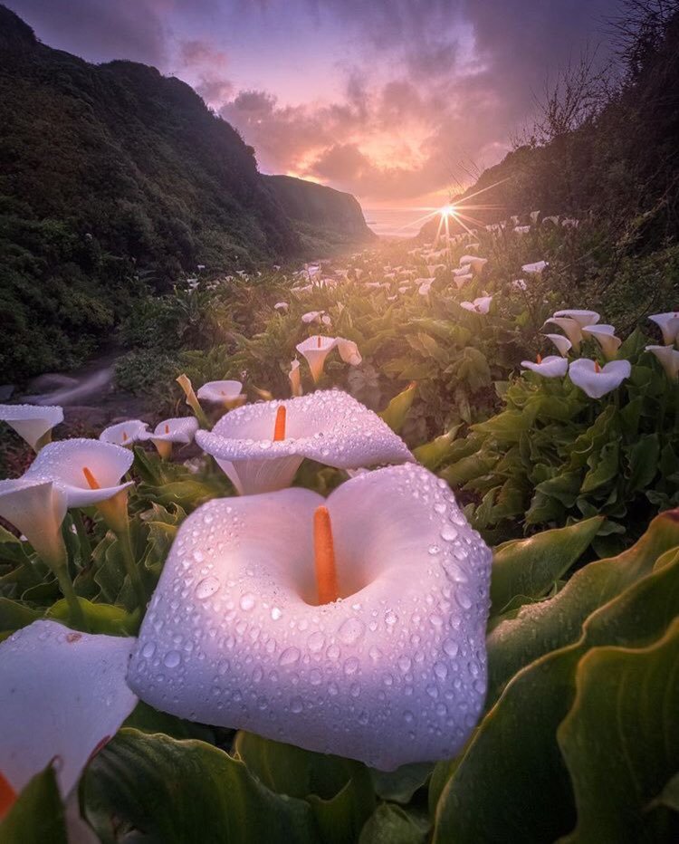 Earth Pics Daily tweet media