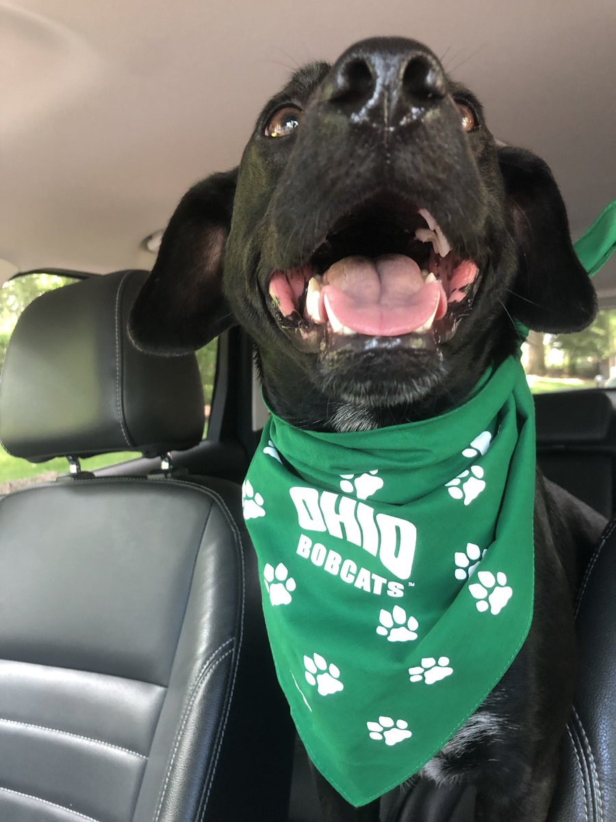 autumnmariegord's tweet photo. Ricky is a big OU Guy this summer. #ouohya https://t.co/ICGo1ZlcLB