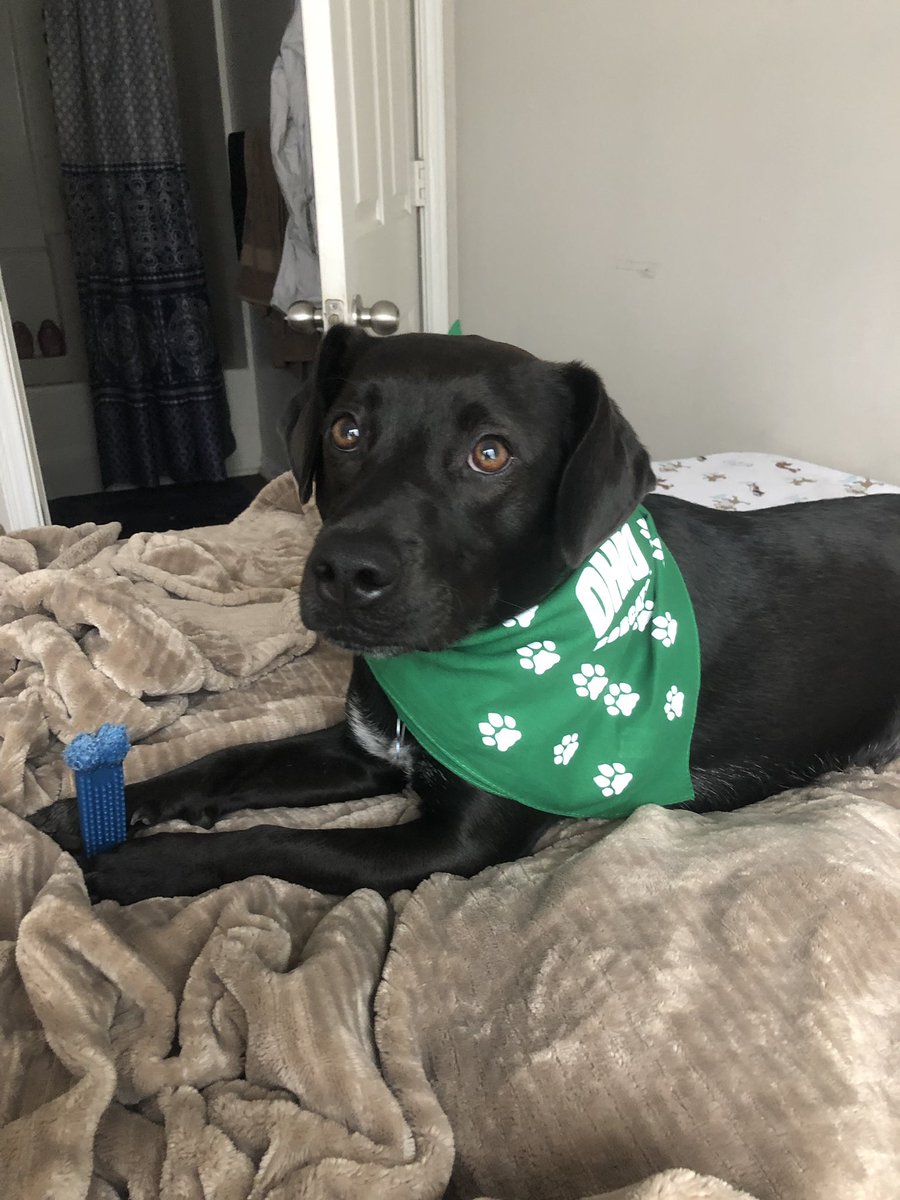 autumnmariegord's tweet photo. Ricky is a big OU Guy this summer. #ouohya https://t.co/ICGo1ZlcLB