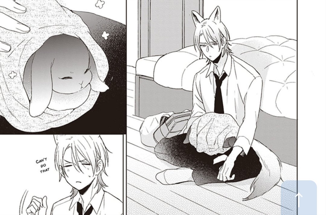 MiniMemo_chan's tweet photo. CUTE CUTE CUTE! 

Cuteness overload 💥

Sakura Riko: Ookami-kun wa kowakunai

#mangacap #yaoi #BL #cute #animalcharacteristics #cutecouple #wolfxbunny #SakuraRiko https://t.co/t20sZzd28D