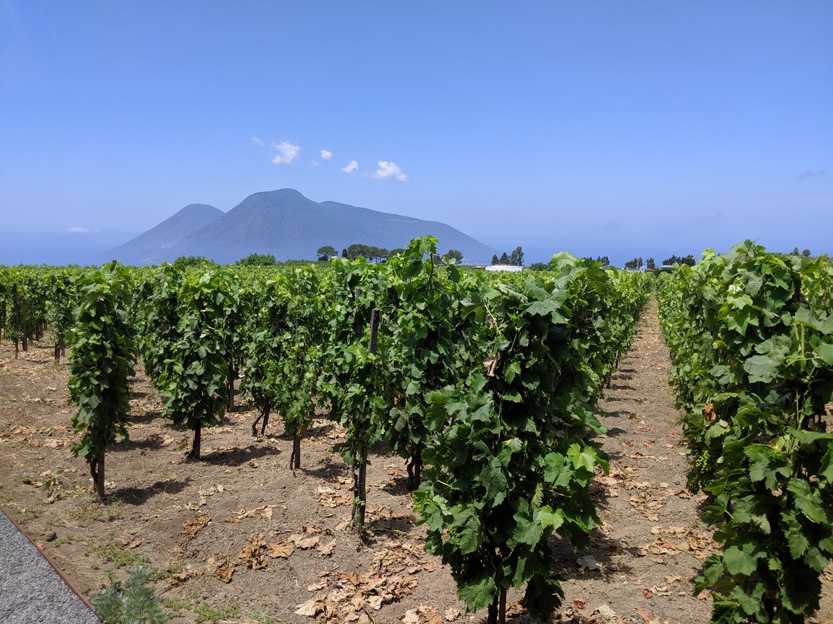 VinConnect clients and I taking in the amazing views and delicious wines at Tenuta di Castellaro on the island of Lipari off the coast of Sicily <a href="/tdcastellaro/">Tenuta di Castellaro</a>