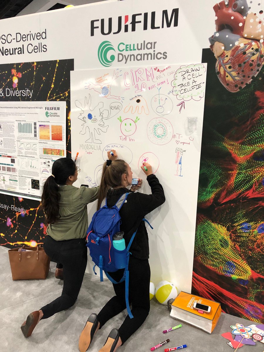 Fujifilm Cellular Dynamics (@celldynamics) on Twitter photo If you are attending #ISSCR2019 stop by booth 421 and see the creative cellular art, draw your own, and take a #CELLFIE ! If you are attending #ISSCR2019 stop by booth 421 and see the creative cellular art, draw your own, and take a #CELLFIE !