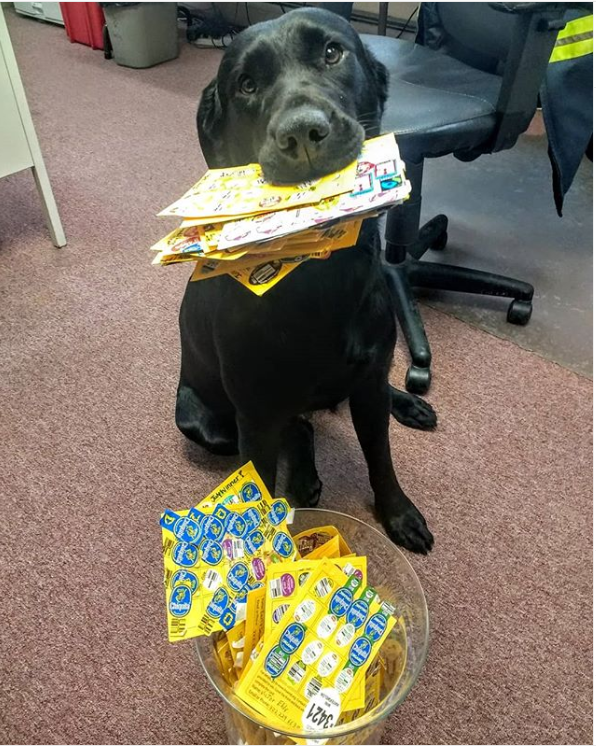 It’s almost the end of the month! Have you turned in your PLU Bingo Card yet for our end of the month raffle? Drop them off at any LRSWMD location for your chance to win some cool compost prizes and #LamoilleSoil swag <a href="/LRSWMD/">LRSWMD</a> #gameon