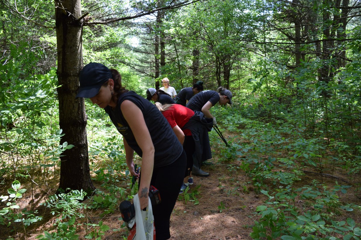 CanopyGrowth's tweet photo. This week's #FeelGoodFriday comes in two parts! First, this past Wednesday, we sent a crew out to the Mill of Kintail to help clean up over 7.7km of trails. They cleared overgrown bushes, re-marked the trail and made it look like new! All part of our #GrowGoodTogether campaign. https://t.co/lpJiKRNaEM