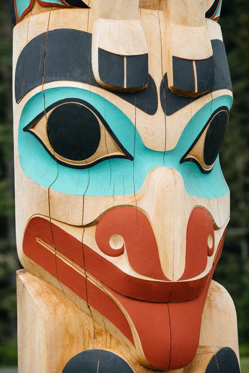 HAIDA WILD tweet media
