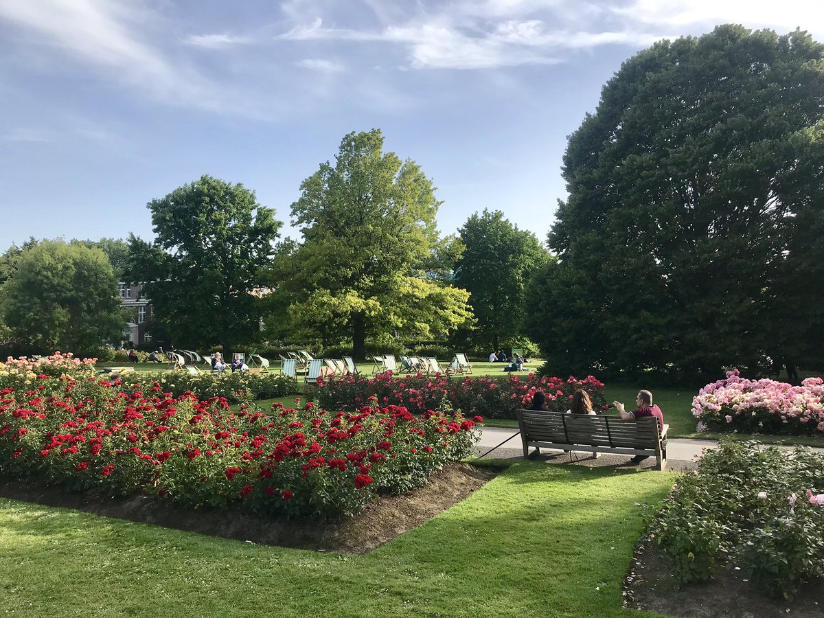 cesaredcl's tweet image. back to London from SF and reading a book in my fav place of the city