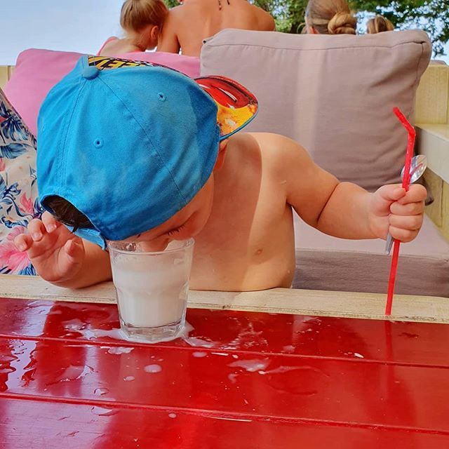 chaseTHEdonkey's tweet photo. Straws and hands are totally overrated.
📍#chasingthedonkey at the beach. https://t.co/zJQFAAHa5f https://t.co/HtxyJcI5Lk