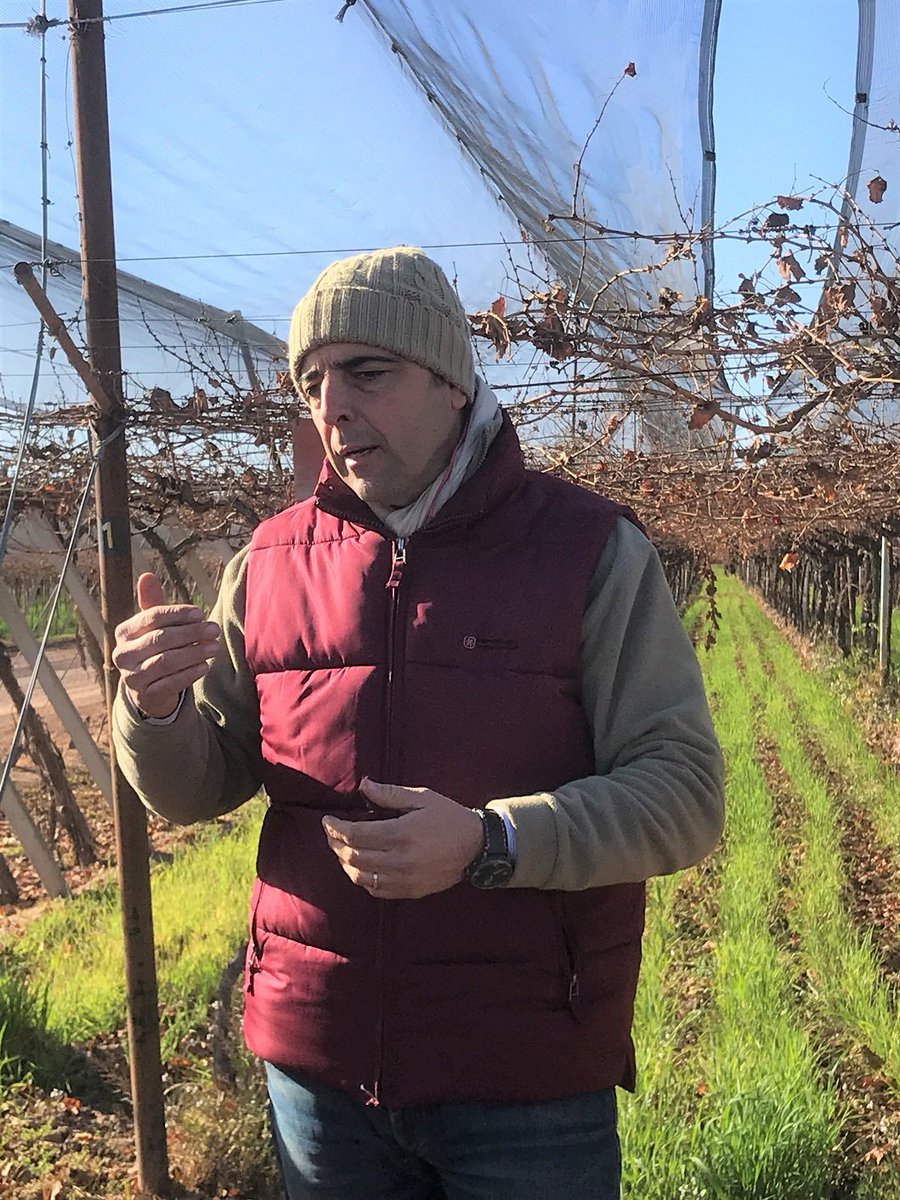 angelyvino's tweet photo. 👉📑NUEVA NOTA📑👈 la segunda de hoy!! 🍇
Santa Julia #porNaturaleza (lo que hay detrás del vino).
https://t.co/YInP2X9aLB
@SantaJuliaARG @NancyJohnsonSom @poncetivi @SebaZuccardi @lipecillo 
@ArgWineBloggers https://t.co/wgwkzeD7I8