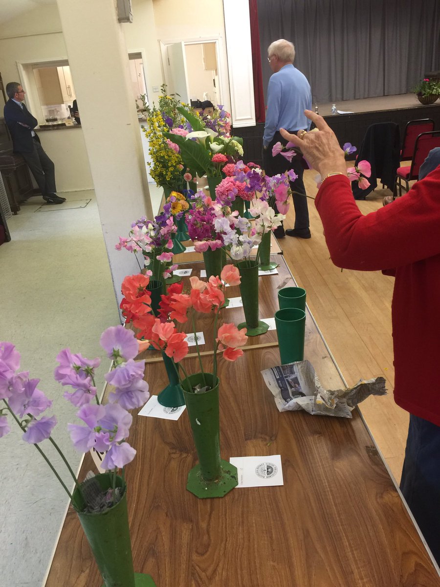 HalsteadHort's tweet photo. We had some lovely exhibits at our summer show yesterday #halsteadkent #gardeningkent #sevenoaksgardens https://t.co/AjjK8LhQz5