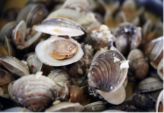 FBPicnics's tweet photo. Spice up your event menu with our upgrades and specialities. Add these items to our already amazing Red, White, and Blue menu for an even more festive gathering From seafood to BBQ, we have what you’re looking for. To see a list of menu upgrades visit https://t.co/MhFJsXwAJk https://t.co/FNjybnCpOm