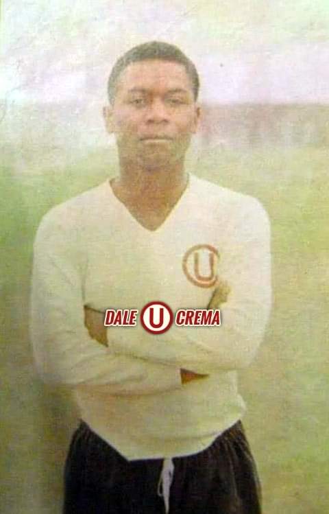 Dale Crema (@dalecrema1924) on Twitter photo Alejandro "Pelé" Guzmán, peligroso centrodelantero del Club <a href="/Universitario/">Universitario</a> de Deportes año 1966. Ganó 5 títulos con la U.
#LaHistoriaDeLaU Alejandro "Pelé" Guzmán, peligroso centrodelantero del Club <a href="/Universitario/">Universitario</a> de Deportes año 1966. Ganó 5 títulos con la U.
#LaHistoriaDeLaU