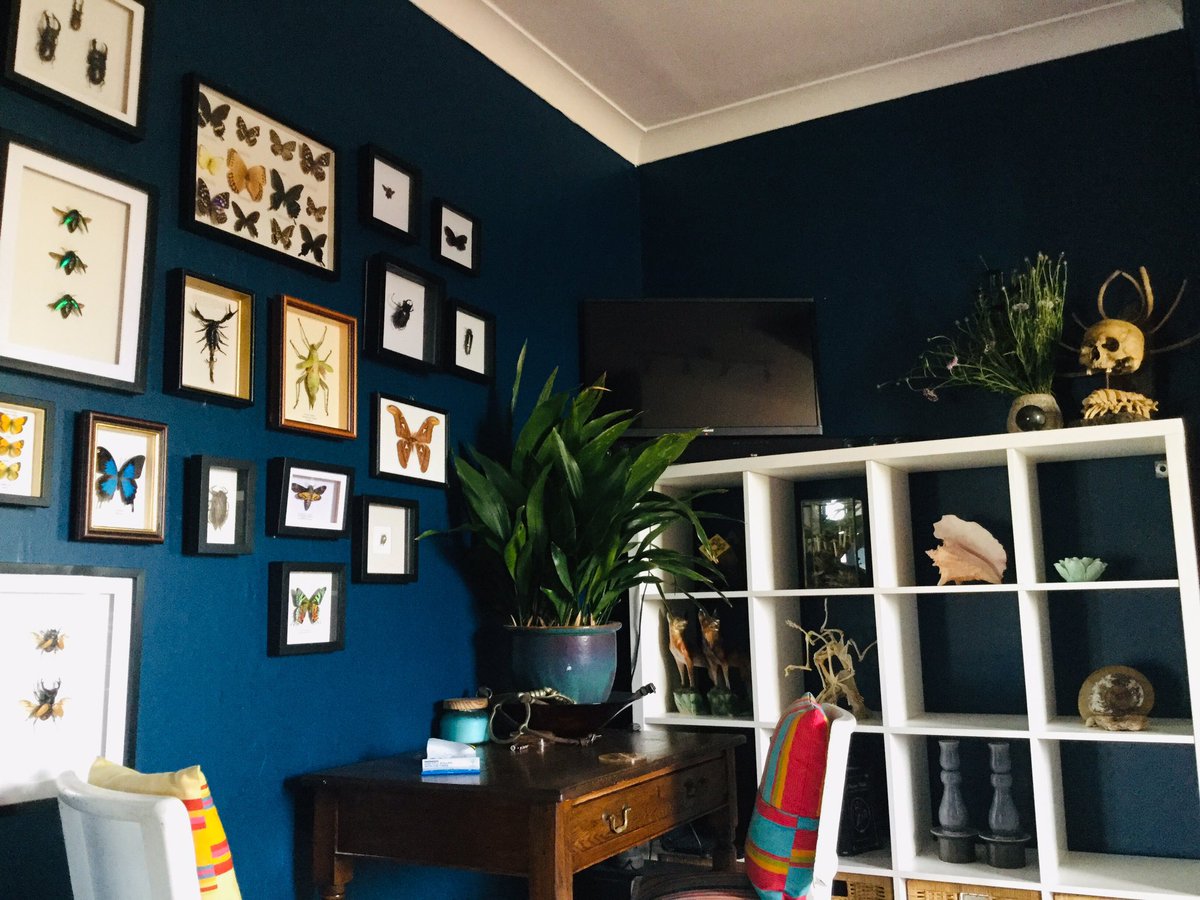 Charlie Bloom tweet media