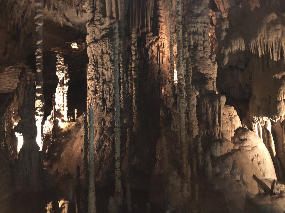 LCHS_AP_DC's tweet photo. Natural Bridge Caverns https://t.co/JtHeoXfgZz
