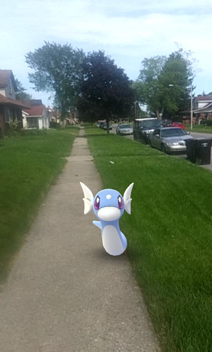 ArcanineFireBlaze 🔥 tweet media