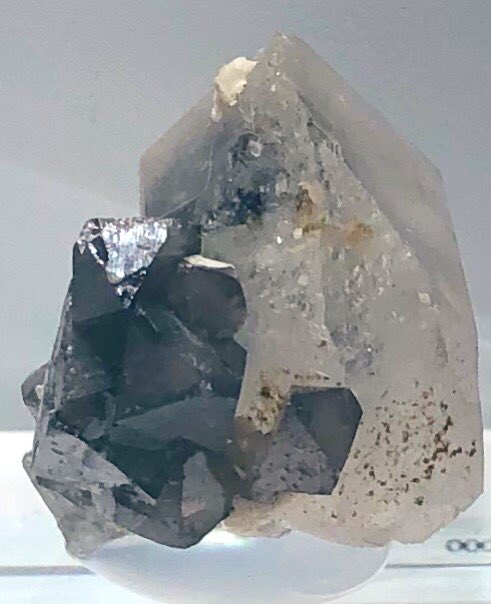 Crystal Stage クォーツ 水晶 とシェーライト 灰重石 が共生した標本です シェーライトはタングステンの鉱石鉱物で海外のマニアには人気の様です 中国産やパキスタン産は偶に見かけますが こちらは韓国産なので日本では余り見かけません シェーライト