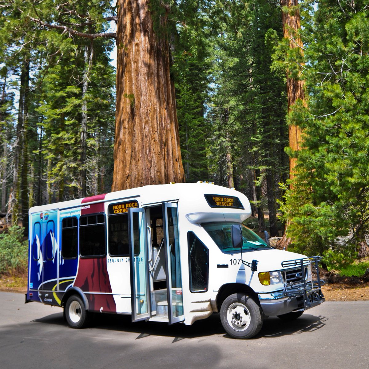 VisitVisalia's tweet photo. "Your national park adventure starts in #Visalia.
Forget parking, sit back and relax. Everything you need to know about the #SequoiaShuttle is detailed here: https://t.co/9JL5SebtjV " https://t.co/L93km3Vjcu