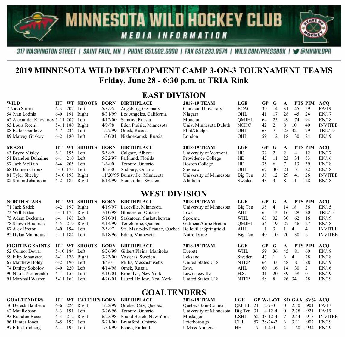 Minnesota Wild Depth Chart