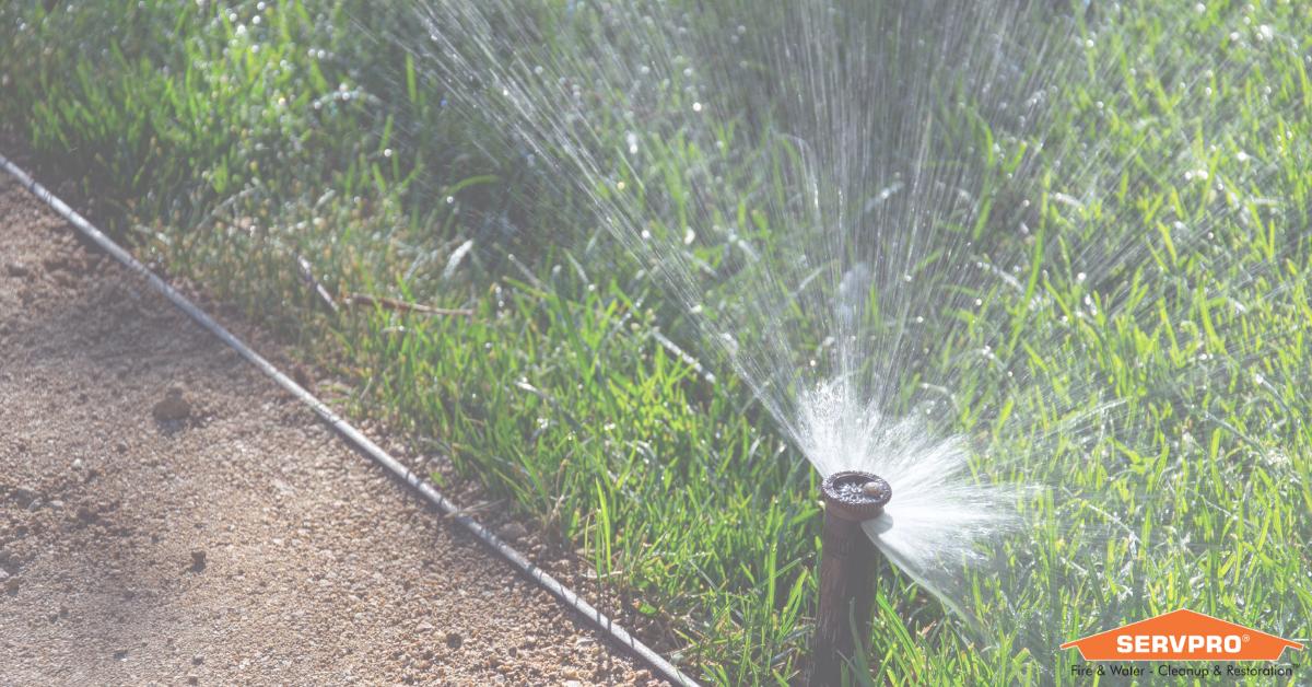 Keep your water usage in mind this spring. As showers cover your newly sprouting plants, over watering with the sprinkler near your home can cause standing water, which leads to bug infestations, damage, and more work required to keep it tidy. Only use hose water as necessary!