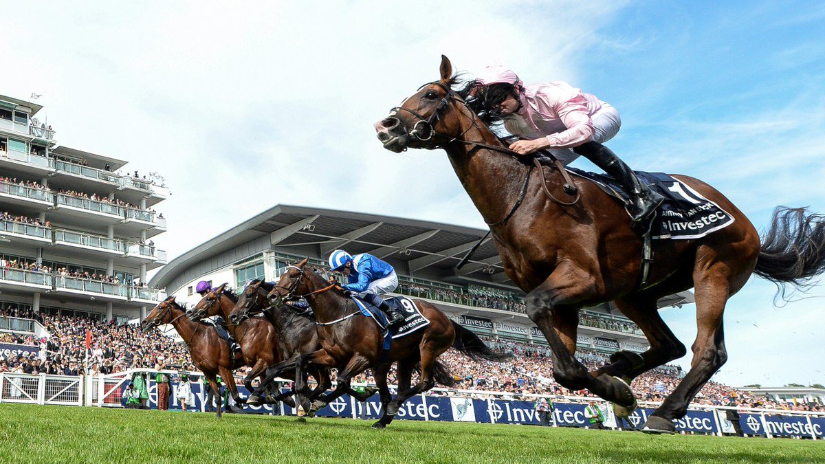 racing post betting forecasts