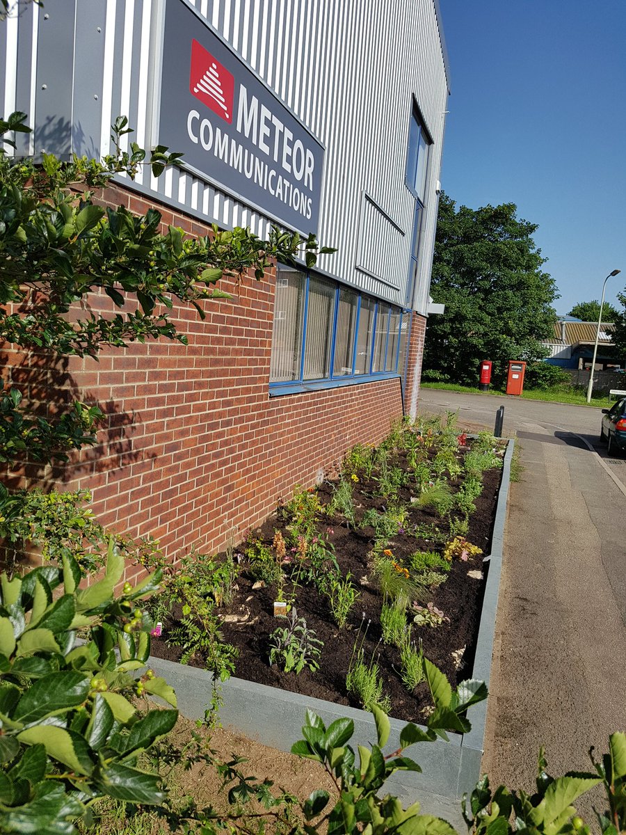 TimMeteor's tweet photo. A little helping hand for bees, butterflies &amp; wildlife today. Most of the the Meteor team assembled to plant out our new boarder. https://t.co/SU9KhIq895