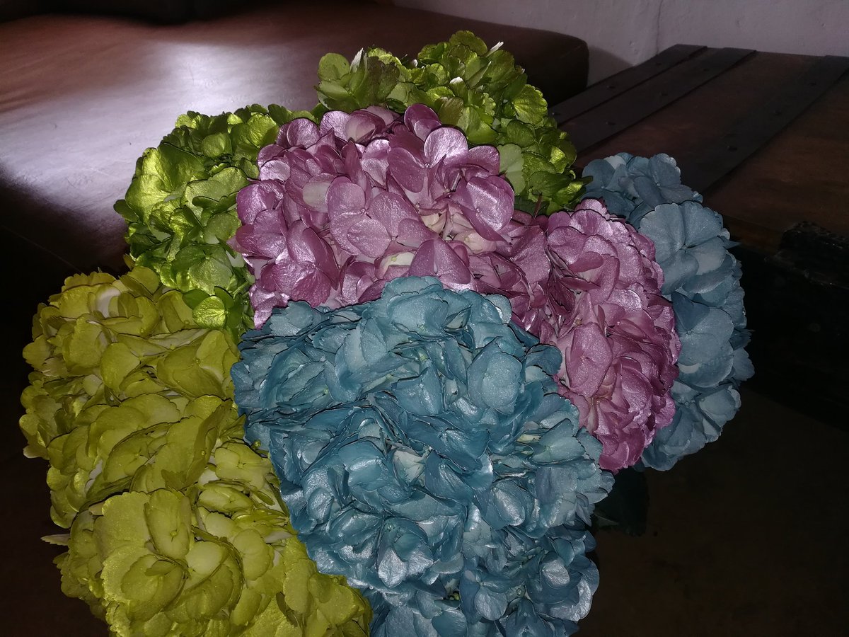 Metal #colors for #hydrangeas
New!
#Flowers
#flower 
#florist 
#americanflowers
